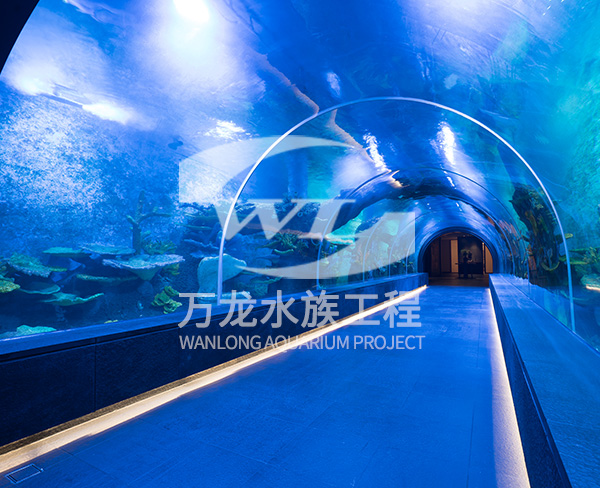 海洋馆如何构建生态系统？