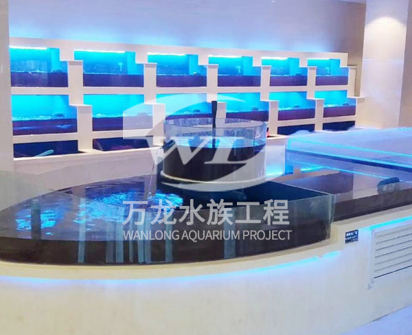 大型亚克力鱼缸需要加装过滤器吗？