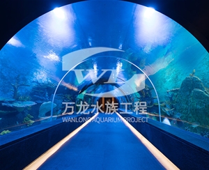 吃奶鱼鱼缸为什么有异味