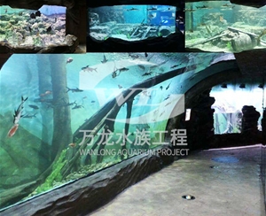办公室鱼缸的过滤器使用特点