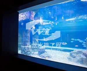 山西大型亚克力...