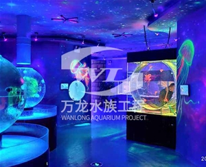 山西萌宠乐园