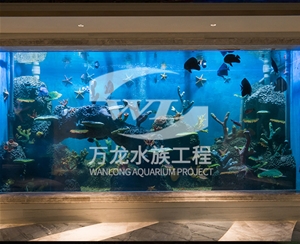 山西海底景观设计