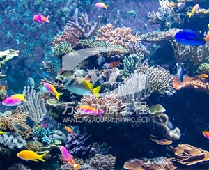 山西海底景观设计